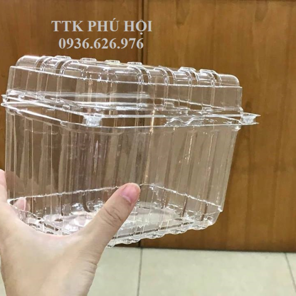 HỘP NHỰA ĐỰNG TRÁI CÂY 1KG P1000B